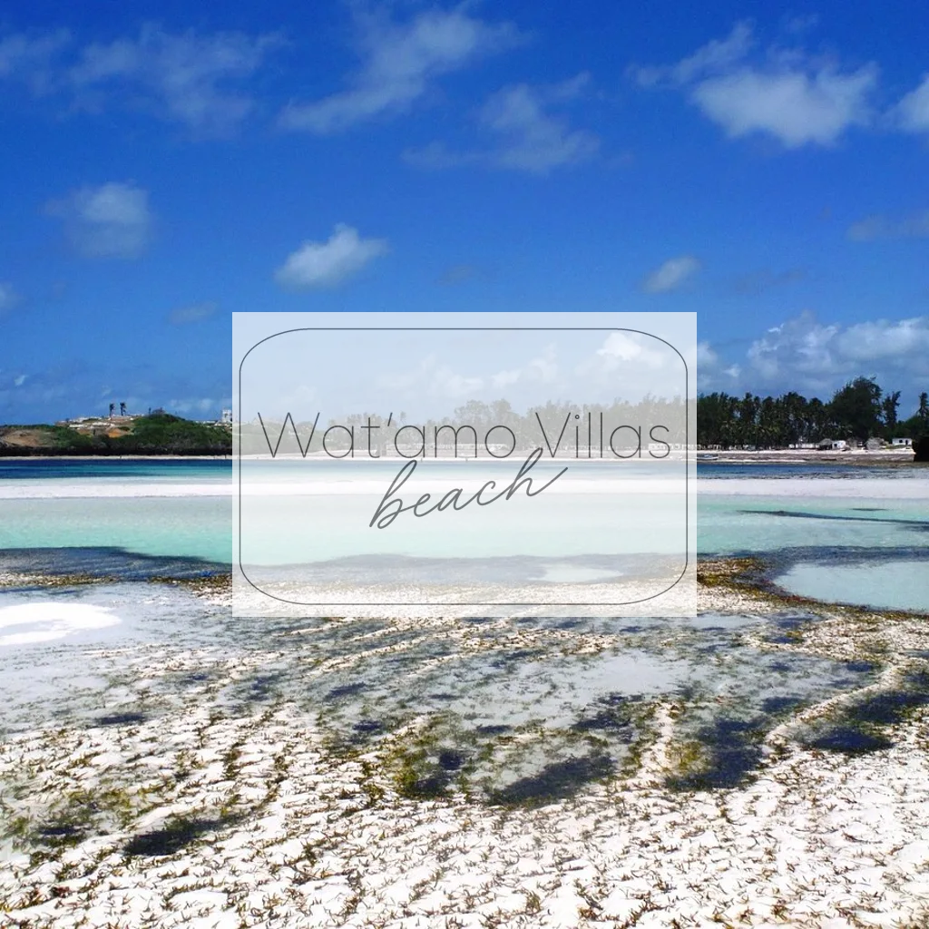 wat'amo beach